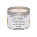 Waxywix slogan candle - Friendship is like a candle