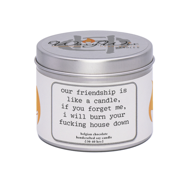 Waxywix slogan candle - Friendship is like a candle